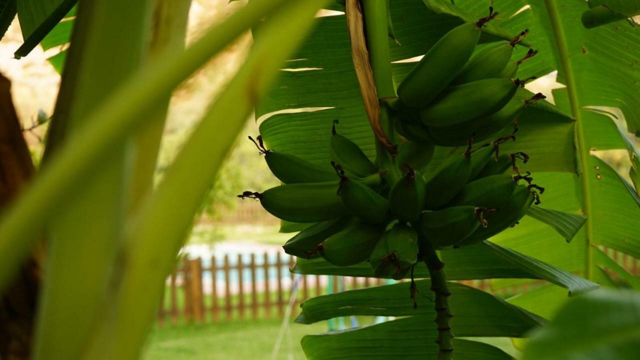 Tropical Studio Orgiva Eksteriør bilde